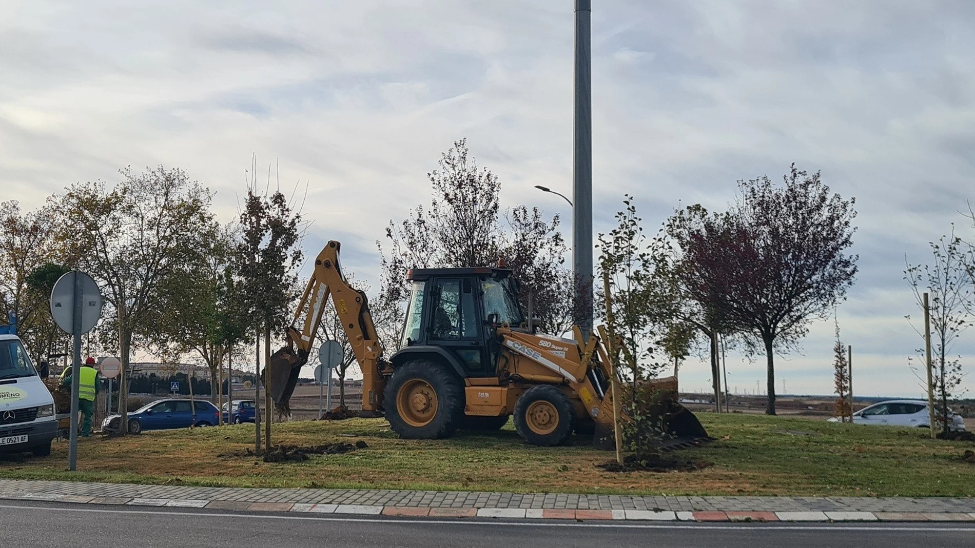 Plantación de árboles en Salamanca