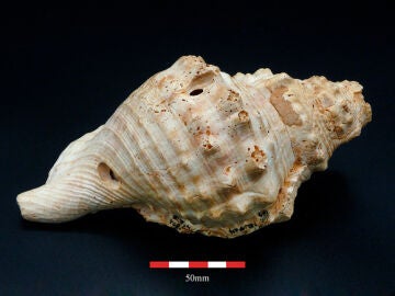 Una de las piezas analizadas