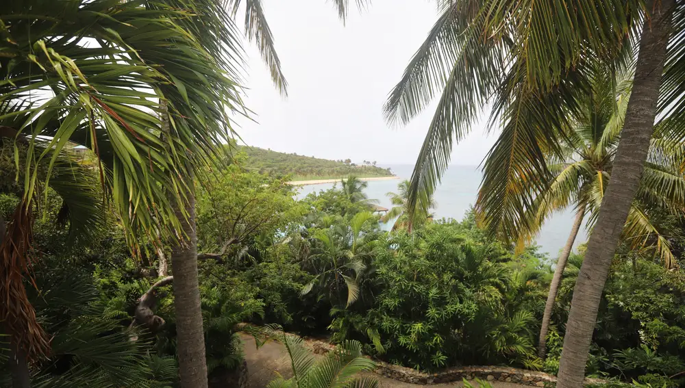 Epstein Island Photos