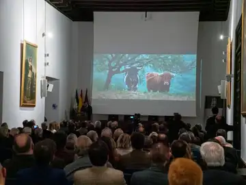 El "Libro Verde del Toro Bravo": una mirada profunda al animal que da sentido a la dehesa El "Libro Verde del Toro Bravo": una mirada profunda al animal que da sentido a la dehesa