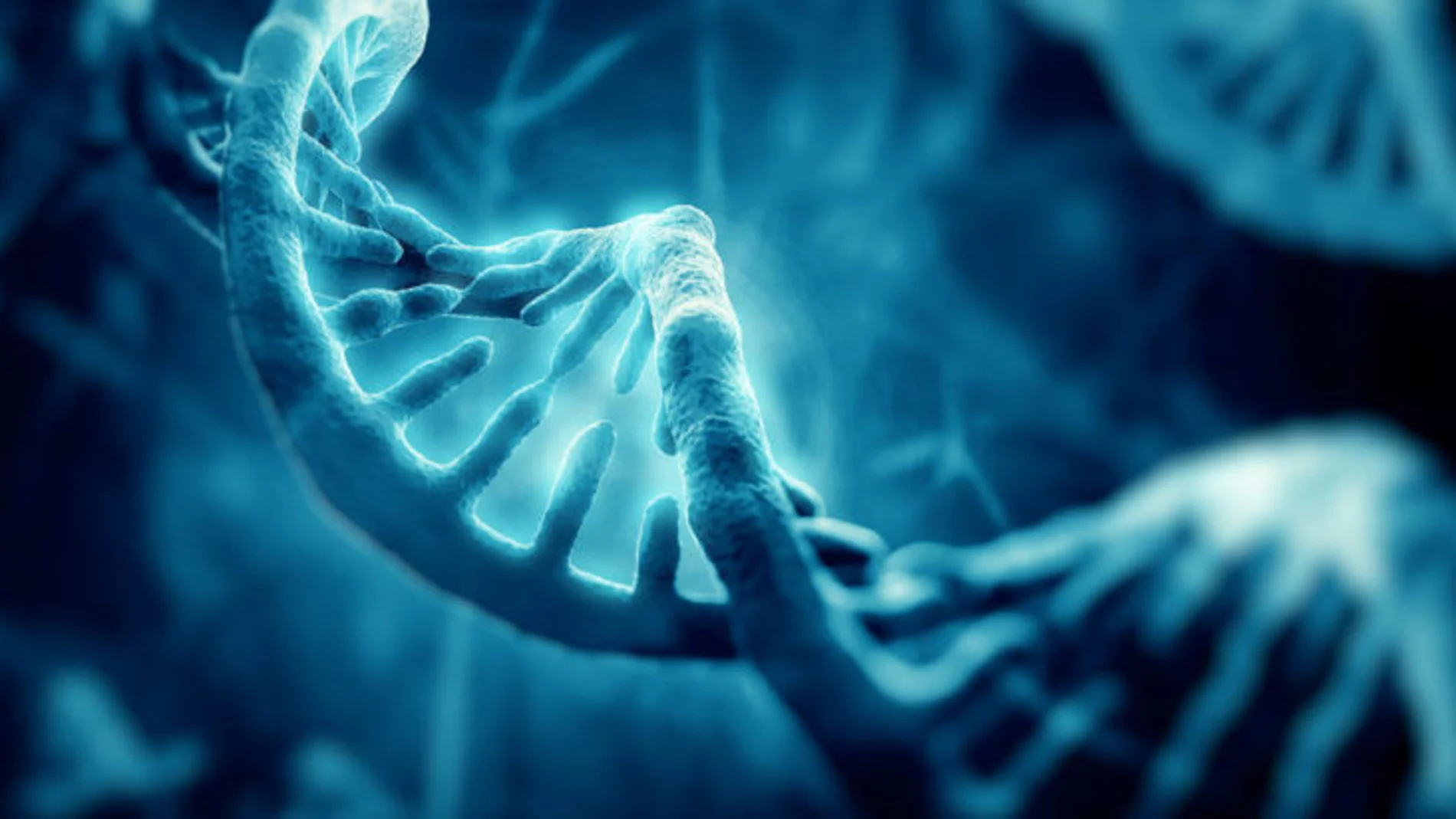 Esquizofrenia genética