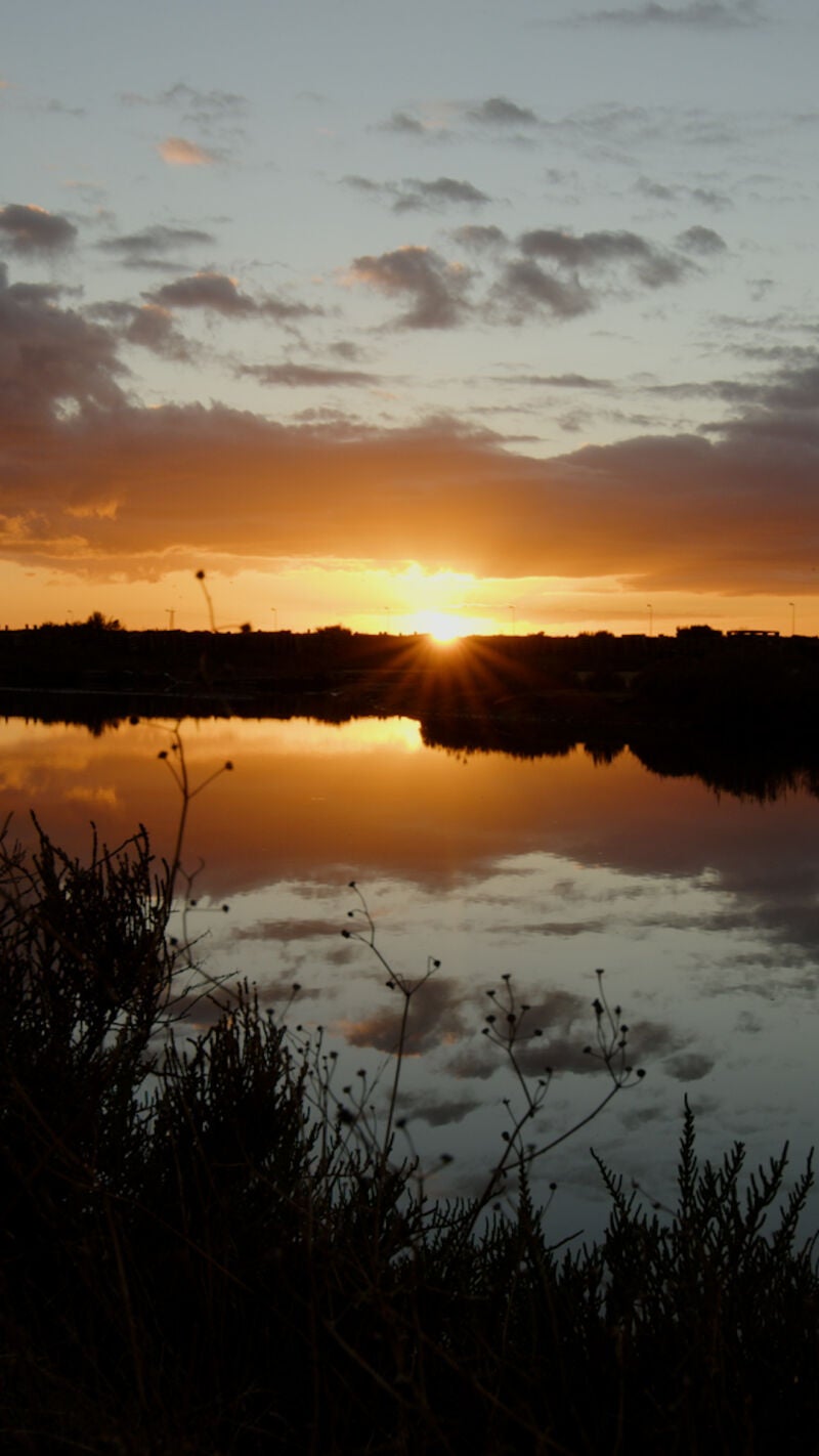 Las Salinas del Alemán