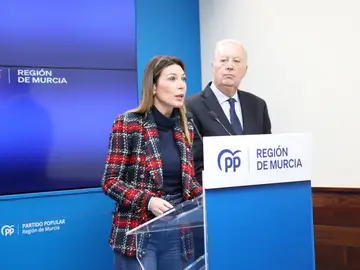 El PP plantea blindar por ley a los sanitarios murcianos frente a las agresiones El PP plantea blindar por ley a los sanitarios murcianos frente a las agresiones