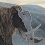 Los animales m&aacute;s feroces de la Prehistoria ser&aacute;n representados en su faceta m&aacute;s familiar, pero tambi&eacute;n como temibles depredadores 