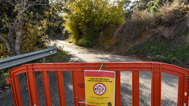 Illa visita el centro avanzado de contención de la peste porcina africana