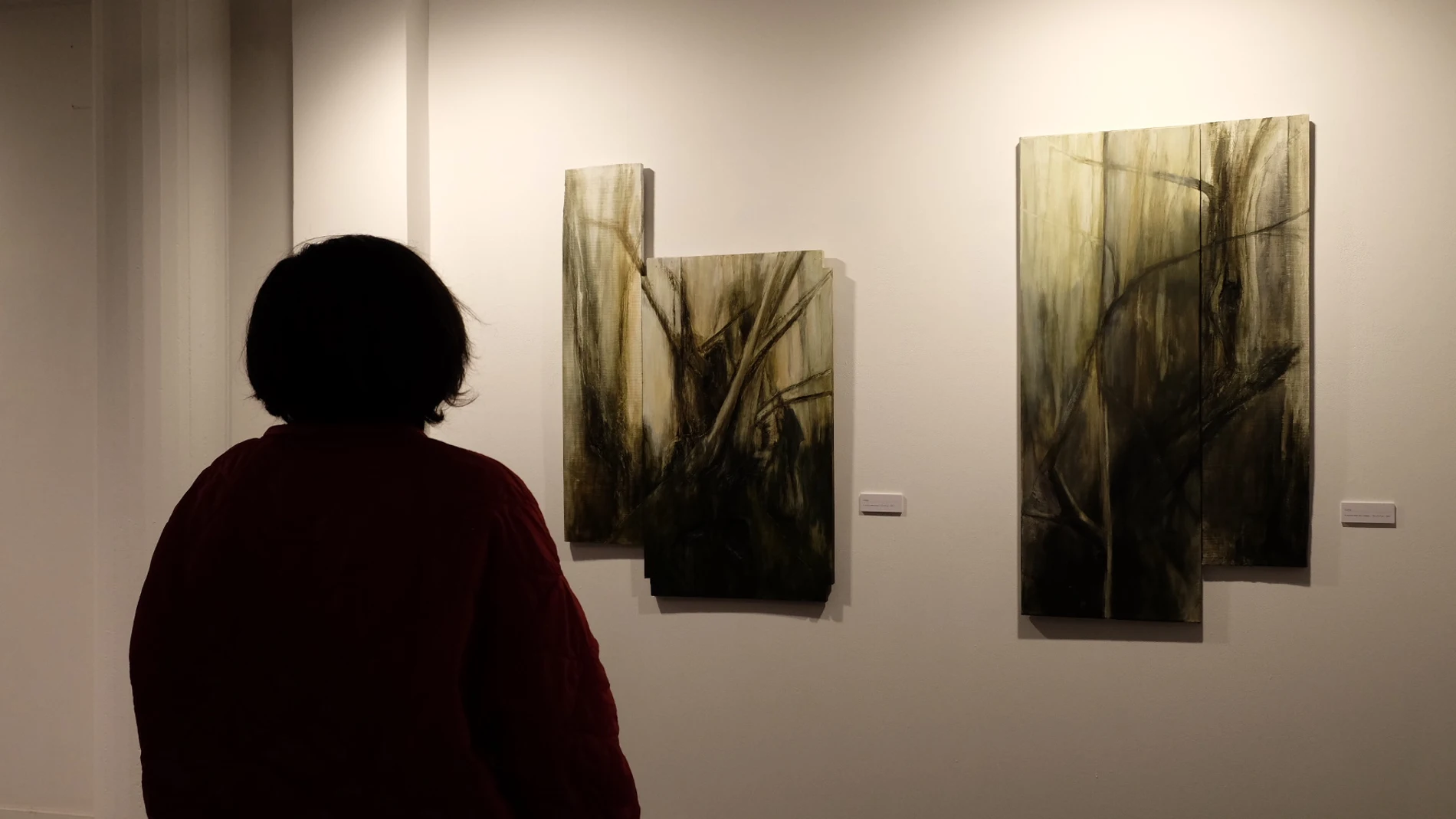 ‘Soledades’, exposición que se puede ver en el Palacio de las Salinas
