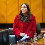 La consejera andaluza de Inclusi&oacute;n, Loles L&oacute;pez