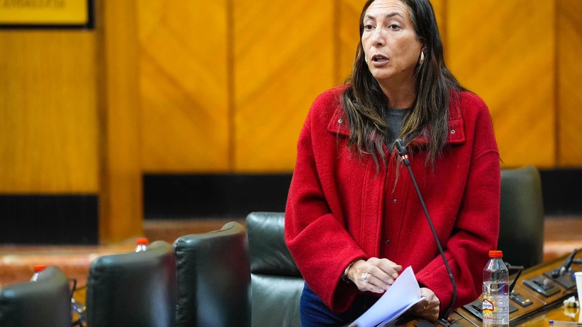 La consejera andaluza de Inclusión, Loles López