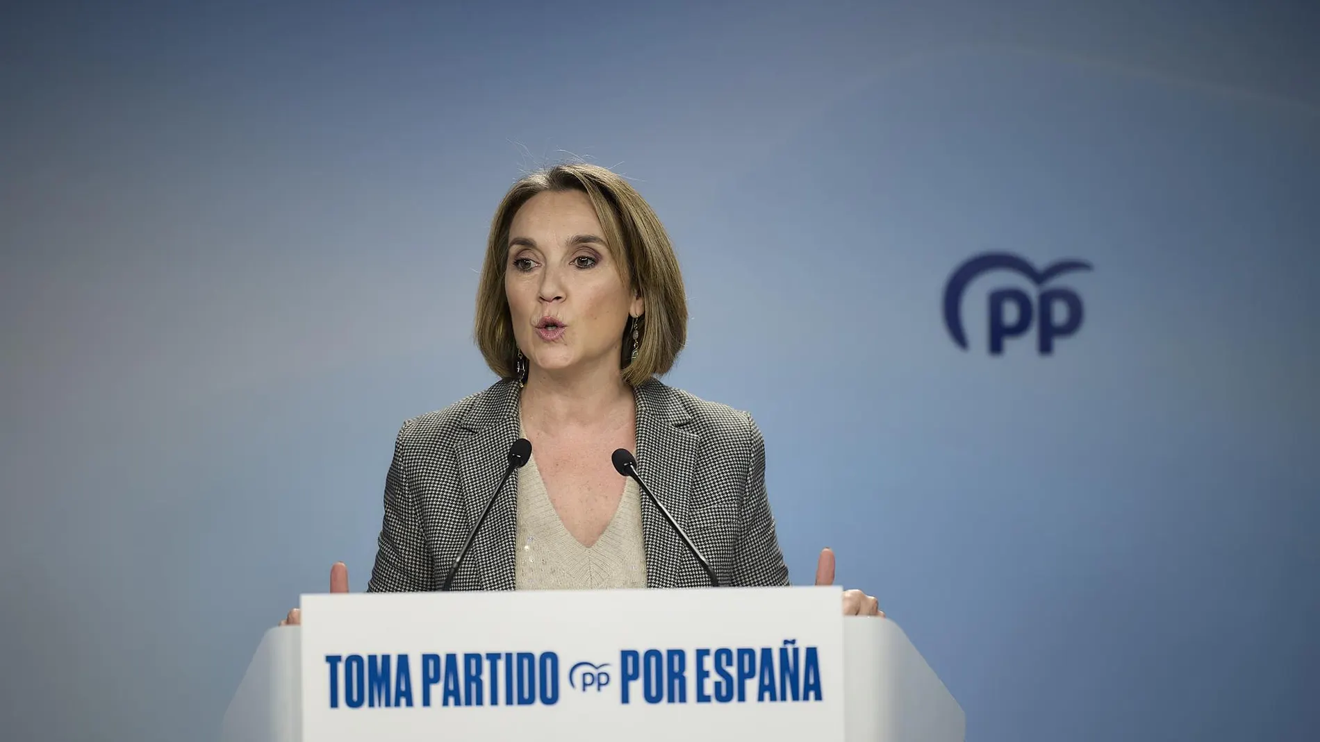 Gamarra: "La Audiencia Nacional ya investiga las cuentas del PSOE y no lo haría si no hubiera indicios de delito"