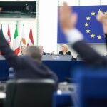 UE.- Las salvaguardas agr&iacute;colas que Bruselas dise&ntilde;&oacute; para salvar el pacto con Mercosur superan el &uacute;ltimo escollo