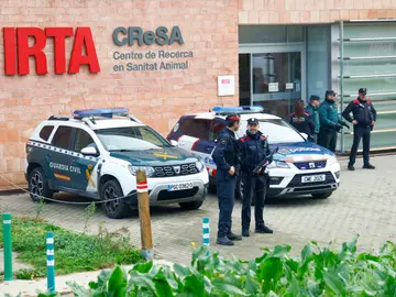 Mossos y Guardia Civil registran laboratorio IRTA-CReSA investigado por la peste porcina GRAFCAT5891. BELLATERRA (BARCELONA) (ESPAÑA), 18/12/2025.- Los Mossos d'Esquadra y la Guardia Civil están registrando las dependencias del laboratorio IRTA-CReSA en Bellatera (Barcelona), en el marco de la investigación conjunta de ambos cuerpos para determinar el origen del brote de peste porcina africana (PPA).EFE/ Quique García