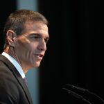 El presidente del Gobierno, Pedro S&aacute;nchez