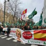 Representantes de Asaja de Castilla y Le&oacute;n, con su presidente Donaciano Dujo, a la cabeza, se manifiestan en las calles de Bruselas