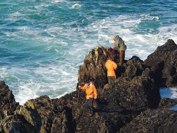 Imagen de archivo de percebeiros trabajando.