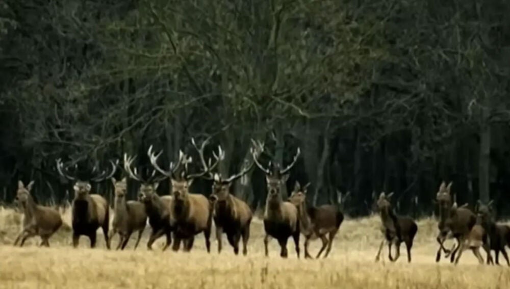 Imagen elegida por Candela Márquez para hablar de su ruptura de Alejandro Sanz