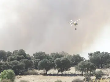 Labores de extinción en un incendio forestal Labores de extinción en un incendio forestal