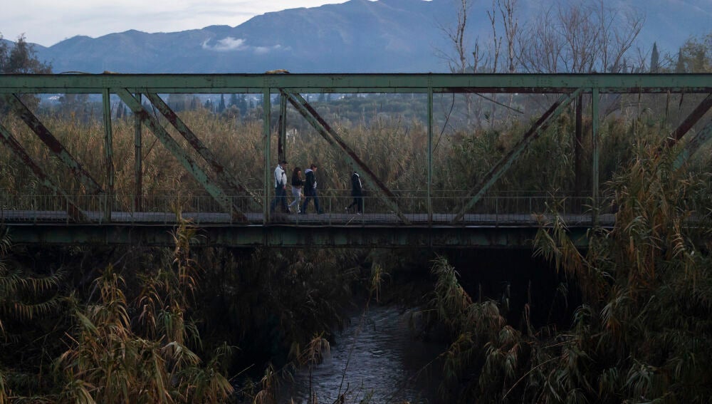 Hallan muerto a uno de los dos desaparecidos por el temporal en Alhaurín el Grande