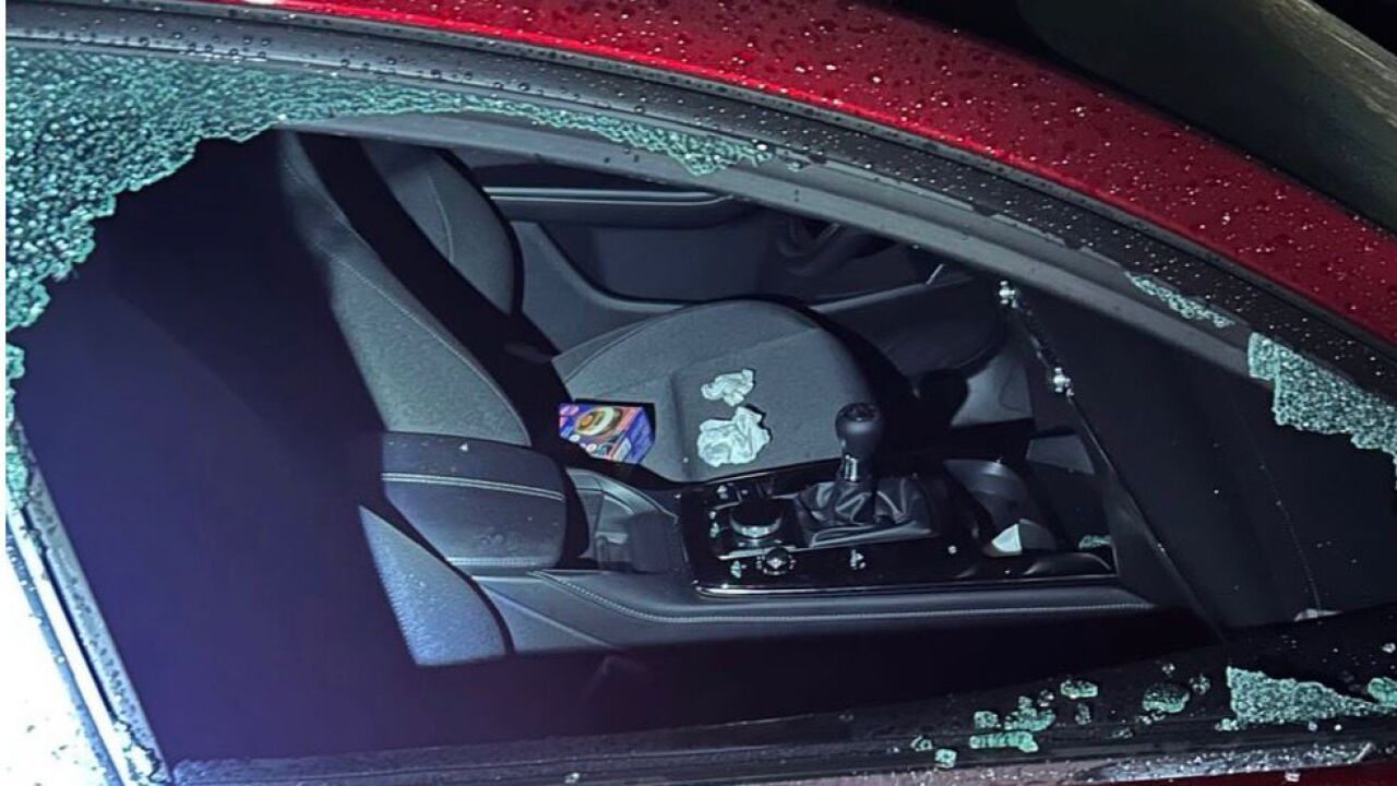 Detenido por robar en vehículos en Algemesí (Valencia) aprovechando la alerta roja por lluvias