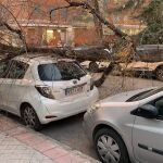 Un &aacute;rbol cae sobre dos coches en barrio de Estrella (Madrid)