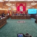 Pleno de la Diputaci&oacute;n de Zamora