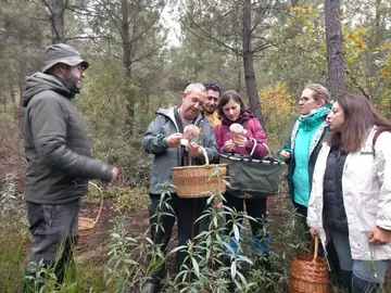 La campaña micológica de la Diputación en Salamanca La campaña micológica de la Diputación en Salamanca