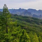 El gran pulm&oacute;n verde de Canarias que muchos turistas pasan por alto
