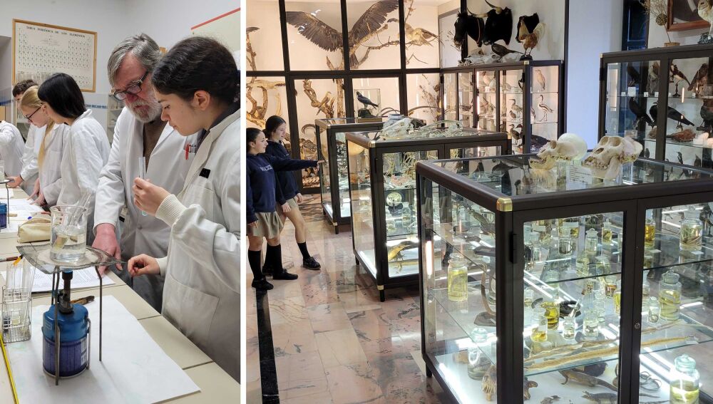 Los laboratorios y gabinetes del siglo XIX permiten trabajar la ciencia en el colegio de una forma integral y diferenciada.