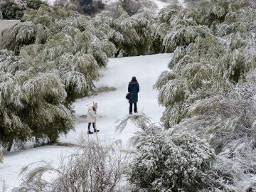 VALDEPE&Ntilde;AS (JA&Eacute;N) 24/01/2026.- La borrasca Ingrid ha tra&iacute;do precipitaciones en forma de nieve a varios puntos de las sierras de Ja&eacute;n, una circunstancia que ha provocado que sea necesario el uso de cadenas en algunas v&iacute;as y, al mismo tiempo, que se haya vuelto a paralizar la campa&ntilde;a de recolecci&oacute;n de la aceituna. EFE/Jos&eacute; Manuel Pedrosa