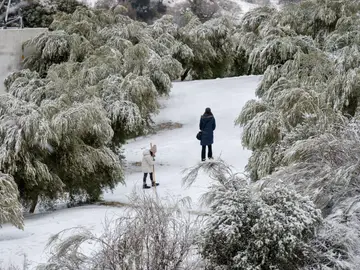 La nieve en los montes de Jaén VALDEPEÑAS (JAÉN) 24/01/2026.- La borrasca Ingrid ha traído precipitaciones en forma de nieve a varios puntos de las sierras de Jaén, una circunstancia que ha provocado que sea necesario el uso de cadenas en algunas vías y, al mismo tiempo, que se haya vuelto a paralizar la campaña de recolección de la aceituna. EFE/José Manuel Pedrosa