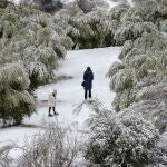 La nieve en los montes de Ja&eacute;n