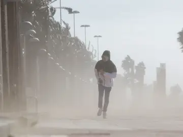 Un hombre camina por el Paseo Marítimo de Almería entre el fuerte viento que se registra en Almería Un hombre camina por el Paseo Marítimo de Almería entre el fuerte viento que se registra en Almería