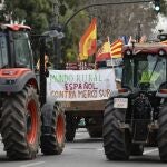 VALENCIA, 26/01/2026.- Una tractorada contra el acuerdo comercial UE&ndash;Mercosur, promovida por asociaciones de agricultores independientes valencianas adscritas a Unaspi (Uni&oacute;n Nacional de Asociaciones del Sector Primario Independientes), ha colapsado este lunes el tr&aacute;fico en el centro de la ciudad de Val&egrave;ncia. Seg&uacute;n informa Tr&agrave;nsit Val&egrave;ncia, desde las 11 horas est&aacute;n cerradas todas las transversales desde la Gran V&iacute;a Marqu&eacute;s del Turia hacia la calle Col&oacute;n, y la calle San Vicente M&aacute;rtir desde la plaza de Espa&ntilde;a y desde la plaza de San Agust&iacute;n. Est&aacute; previsto que la tractorada concluye ante la sede de la Delegaci&oacute;n del Gobierno, en la plaza del Temple. EFE/ Biel Ali&ntilde;o