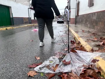 Fuertes vientos e intensas lluvias en Sevilla GERENA (SEVILLA), 28/01/2026.- Un paraguas destrozado en una calle de Sevilla este miércoles, en una jornada de fuertes vientos e intensas lluvias, con aviso naranja en toda la provincia. EFE/Fermín Cabanillas