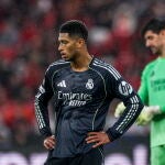 UEFA Champions League - Benfica vs Real Madrid