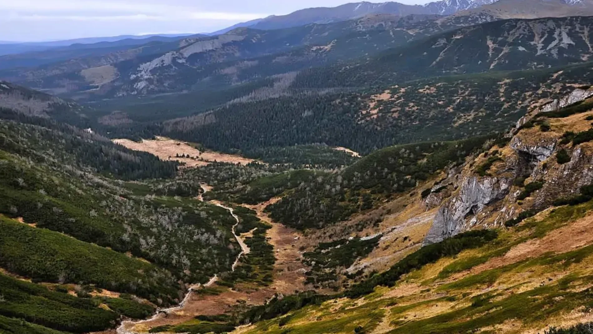 El pueblo de Asturias que se ha convertido en un museo al aire libre: tiene más obras de arte que habitantes