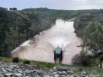 Imagen del embalse del Agrio, en Aznalcóllar (Sevilla) AZNALCÓLLAR (SEVILLA), 02/02/2026.- Imagen del embalse del Agrio, en Aznalcóllar (Sevilla), cuyo Ayuntamiento ha pedido a los vecinos que no se acerquen a sus inmediaciones, ante el peligro de accidentes por el caudal que tiene tras las últimas lluvias. EFE/Fermín Cabanillas