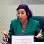 La consellera Al&iacute;cia Romero comparece en la Comisi&oacute;n de Econom&iacute;a y Finanzas del Parlament