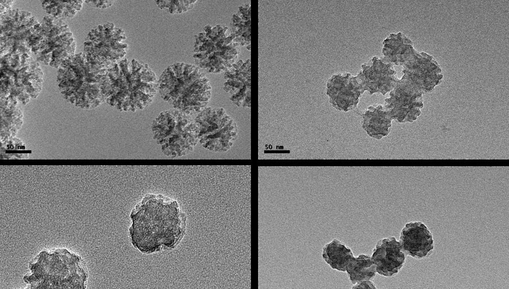 Los nuevos bio-nanomateriales híbridos inteligentes son alternativos a los pesticidas convencionales