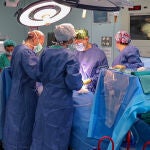 Hito hist&oacute;rico en la Fe de Valencia: Los equipos realizan diez trasplantes de diferentes &oacute;rganos en 24 horas