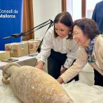 El Museu de Mallorca expone las piezas que una alemana intent&oacute; sacar ilegalmente de la isla en 2024