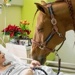 "Doctor Peyo" en un hospital