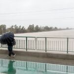 Una persona cruza por el Puente de la Se&ntilde;orita cortado al tr&aacute;fico por el desbordamiento parcial del r&iacute;o Guadalquivir a su paso por la Cartuja este fin de semana.