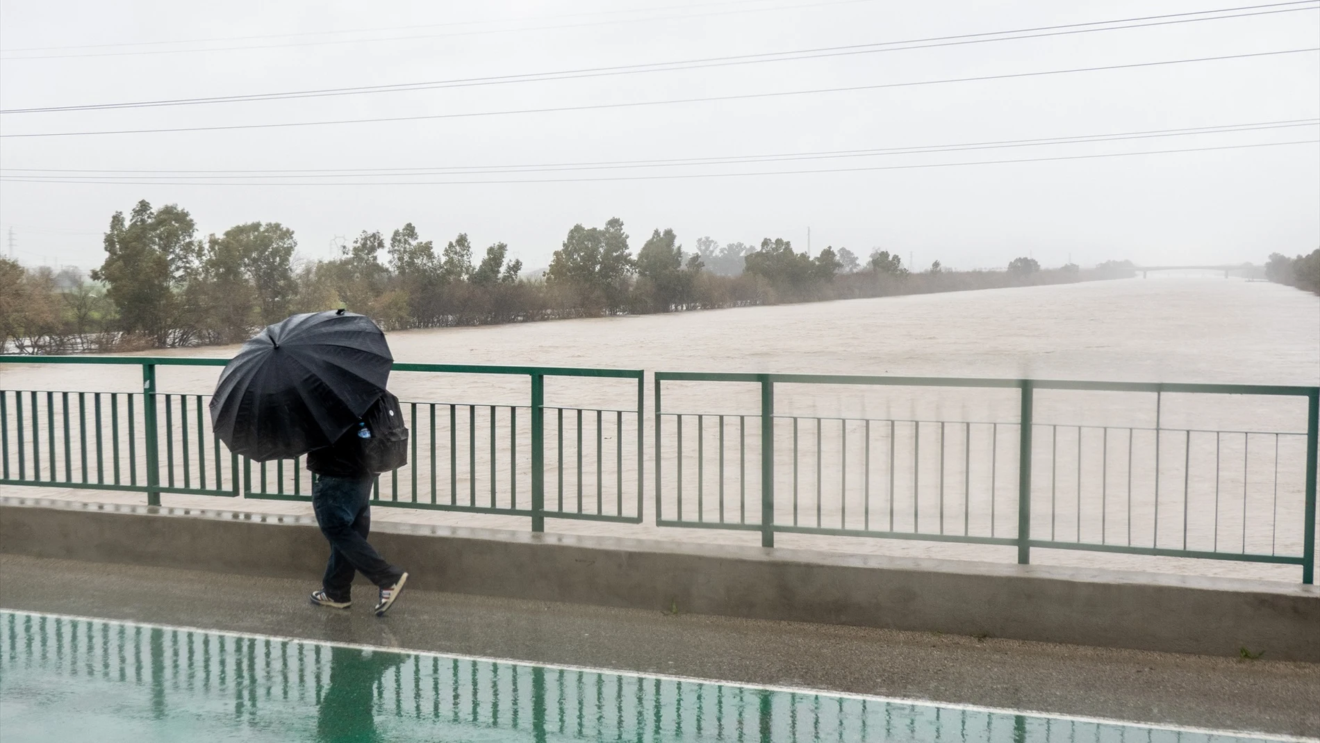 Una persona cruza por el Puente de la Señorita cortado al tráfico por el desbordamiento parcial del río Guadalquivir a su paso por la Cartuja este fin de semana.