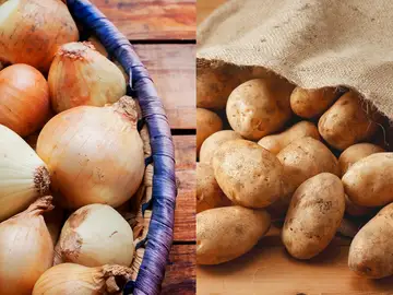 Si guardas las patatas y las cebollas juntas, lo estás haciendo mal. esta es la forma correcta de hacerlo Si guardas las patatas y las cebollas juntas, lo estás haciendo mal. esta es la forma correcta de hacerlo