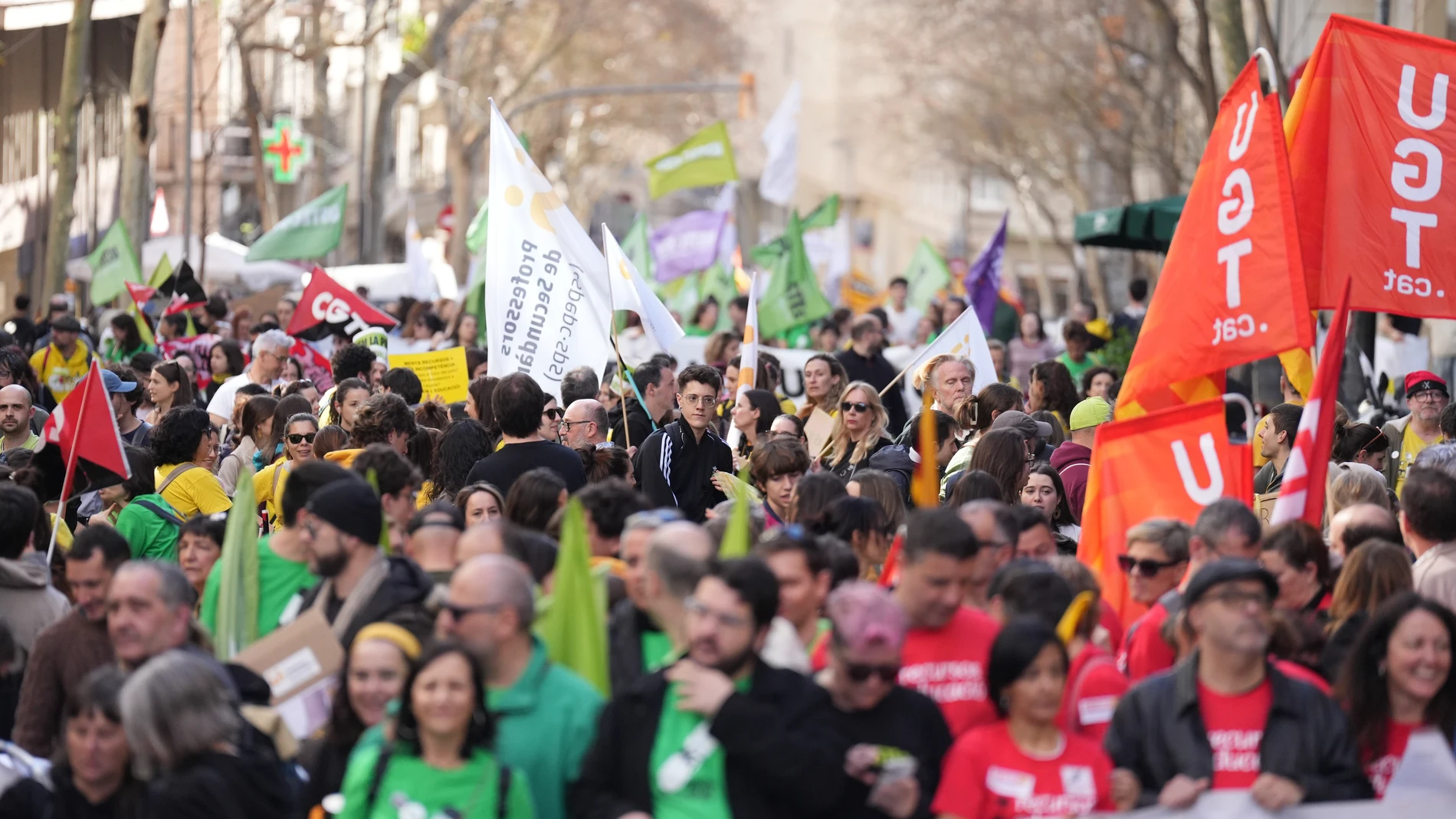 Decenas de personas durante una manifestación con motivo de la huelga de docentes en Catalunya, en la Vía Augusta, a 11 de febrero de 2026, en Barcelona, Catalunya (España). La huelga de docentes de Catalunya de este miércoles está teniendo un seguimiento del 11,90% sobre el total de la plantilla, según datos de las 9.30 horas que ha avanzado la Conselleria de Educación y FP de la Generalitat. 11 FEBRERO 2026;HUELGA;MANIFESTACIÓN;BARCELONA;DOCENTES;EDUCACIÓN David Zorrakino / Europa Press ...