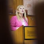 Carolina Espa&ntilde;a, en el Parlamento