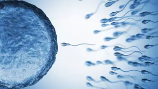 Un estudio halla 42 compuestos químicos de uso cotidiano en el semen humano que podrían afectar a la salud reproductiva Un estudio halla 42 compuestos químicos de uso cotidiano en el semen humano que podrían afectar a la salud reproductiva