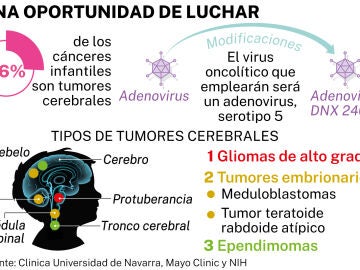 Virus oncol&iacute;tico