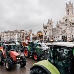 Decenas de tractores en la Plaza de Cibeles camino al Ministerio de Agricultura, a 11 de febrero de 2026, en Madrid (Espa&ntilde;a). Convocados por Uni&oacute;n de Uniones de Agricultores y Ganaderos y la Uni&oacute;n Nacional de Asociaciones del Sector Primario Independientes (Unaspi) a nivel nacional, la marcha uqe ha reunido a m&aacute;s de 500 tractores ha cortado el tr&aacute;fico en algunas de las principales arterias de la capital y v&iacute;as de entrada a la ciudad. 
