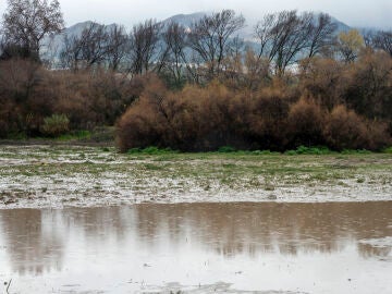 JA&Eacute;N, 11/02/2026.-Vista del r&iacute;o Guadalbull&oacute;n a su paso por las zonas del Puente Tablas (Ja&eacute;n) este mi&eacute;rcoles. En Ja&eacute;n estar&aacute; activado por rachas fuertes de viento el aviso amarillo (hasta las 17.00 horas).-EFE/Jos&eacute; Manuel Pedrosa.